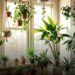6 Dicas Infalíveis para Decorar Seu Apartamento com Plantas
