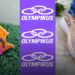 Tênis Olympikus Swift 4 Conforto e Estilo para o Dia a Dia